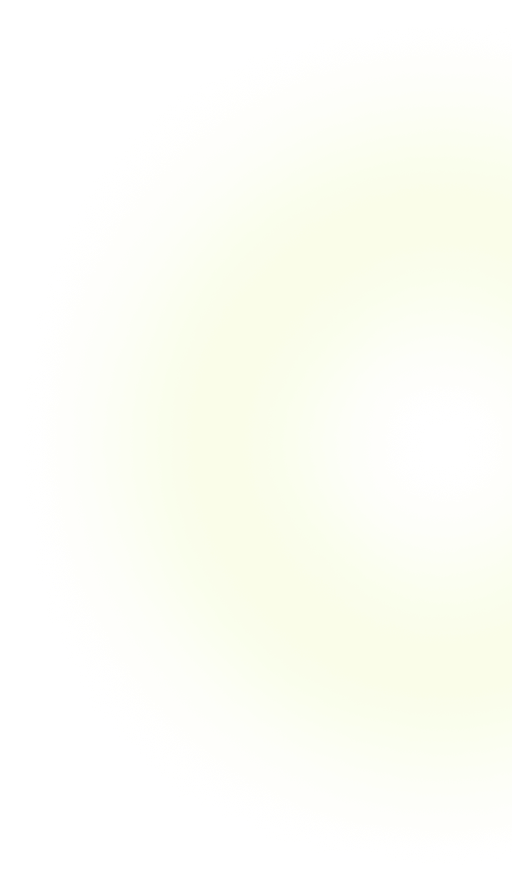 Professional Design Mentorship